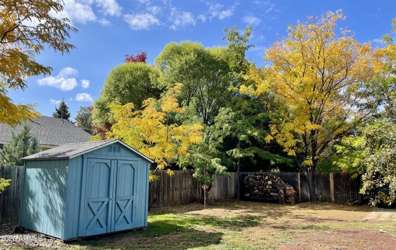 Backyard Fall Folliage