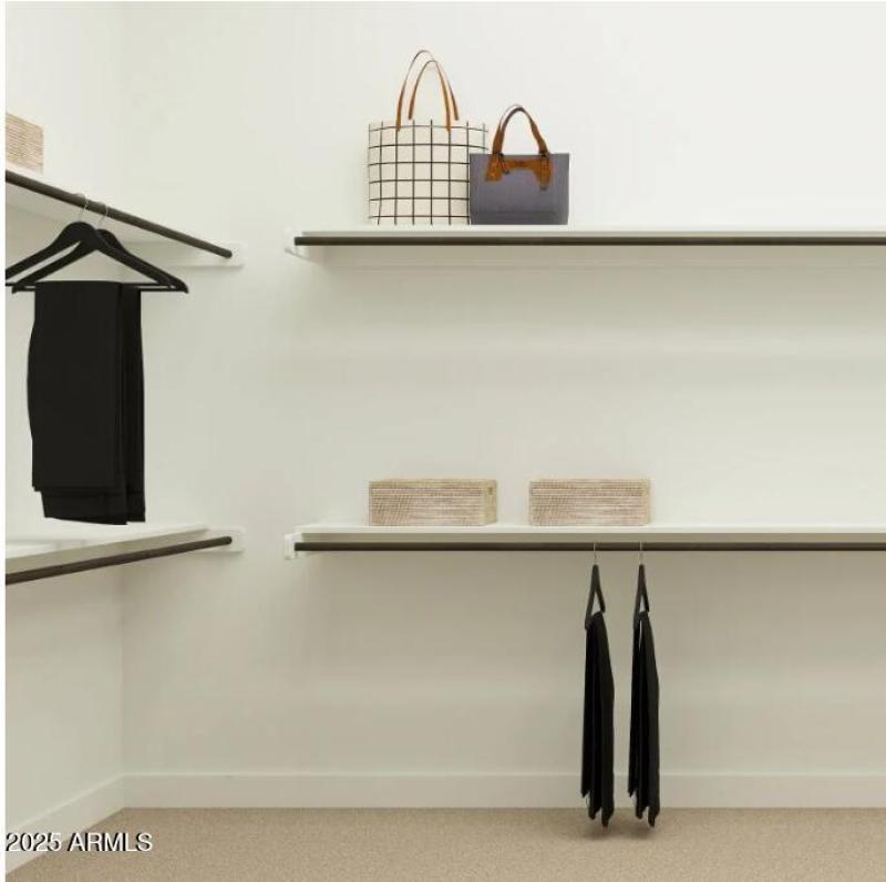 Owner's Walk in Closet