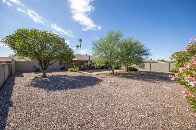 Privacy Wall in Backyard