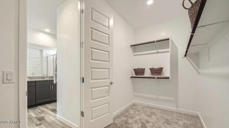 Owners Walk in Closet