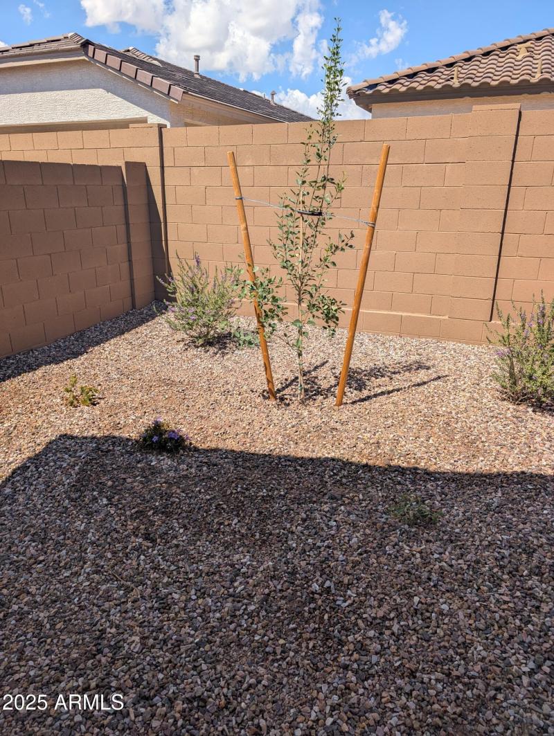 0f361d79-63ea-488d-8cec-a65576122cc2-1_a