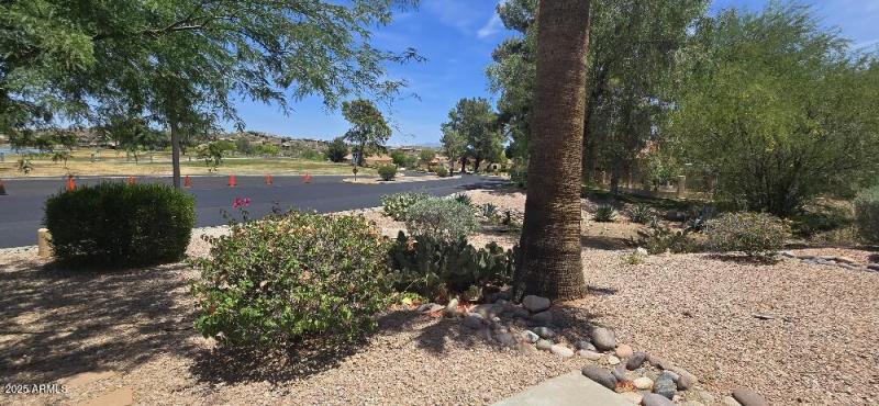 20250528_122902_resized