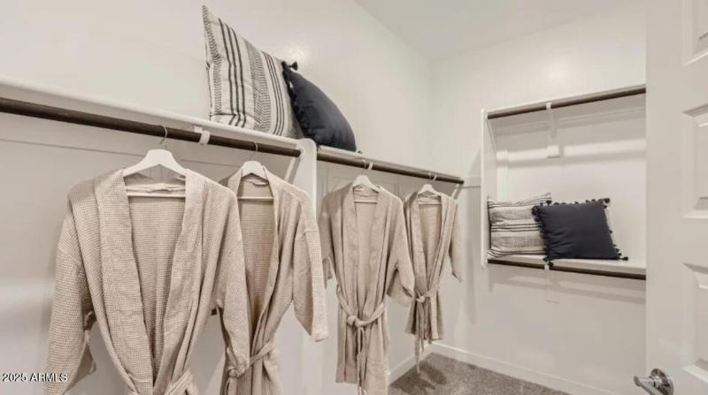 Owners Walk in Closet