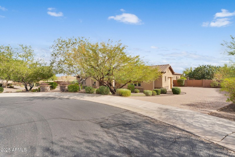 3-web-or-mls-Questa-1