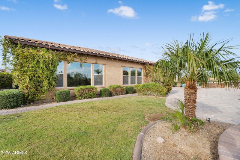 85-web-or-mls-Questa-99