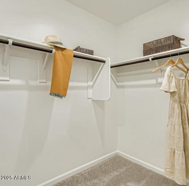 Owners Walk in Closet