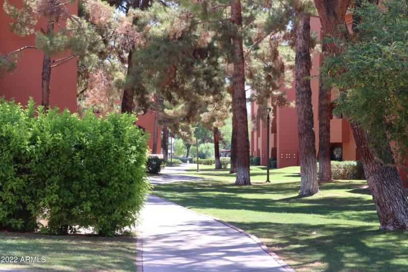 Meandering Pathways Throughout