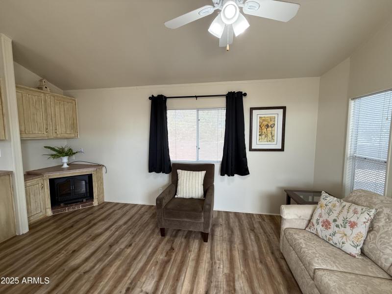 TV Niche & Fireplace