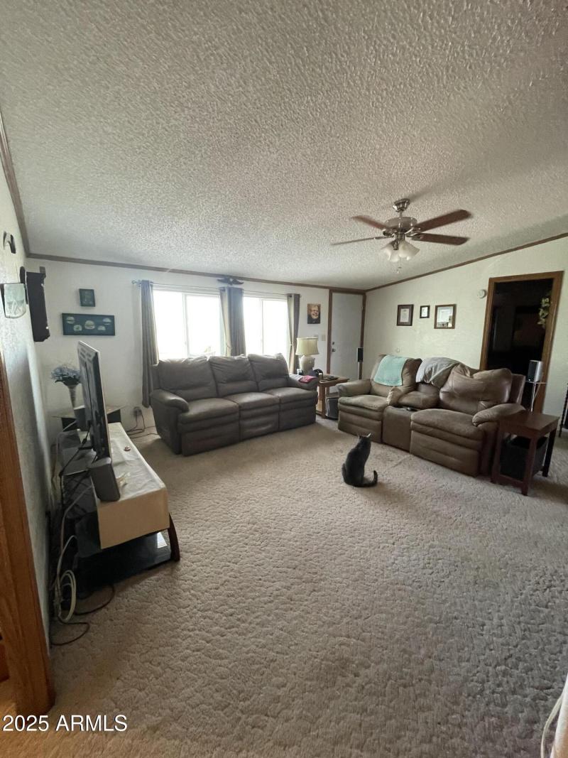 Photo Apr 19 2023, 4 50 39 PM