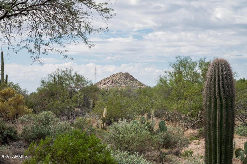 08-8580EArtisanPass-8