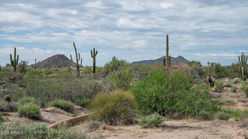 09-8580EArtisanPass-9