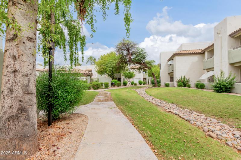 Lakeshore at Anderson Springs