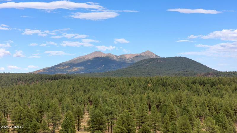 4-web-or-mls-DJI_20251008151048_0494_D