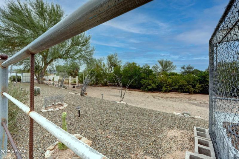 DSC00746_47_48_49_50 copy