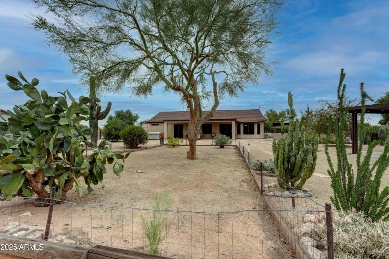 DSC00751_2_3_4_5 copy