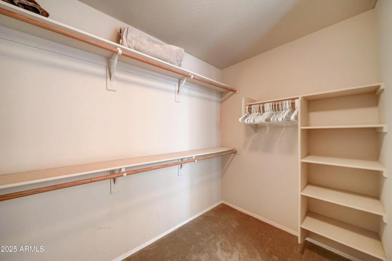 29293 N Yellow Bee-35