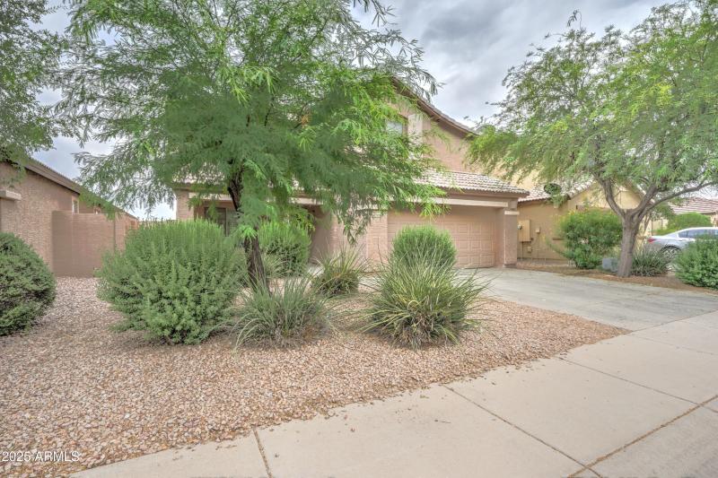 29293 N Yellow Bee-2