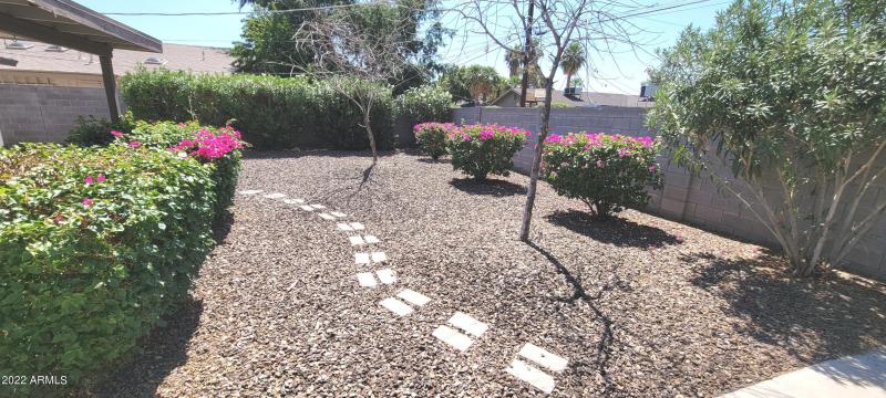 Montecito Back Yard 2