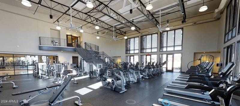 sapium inside of gym