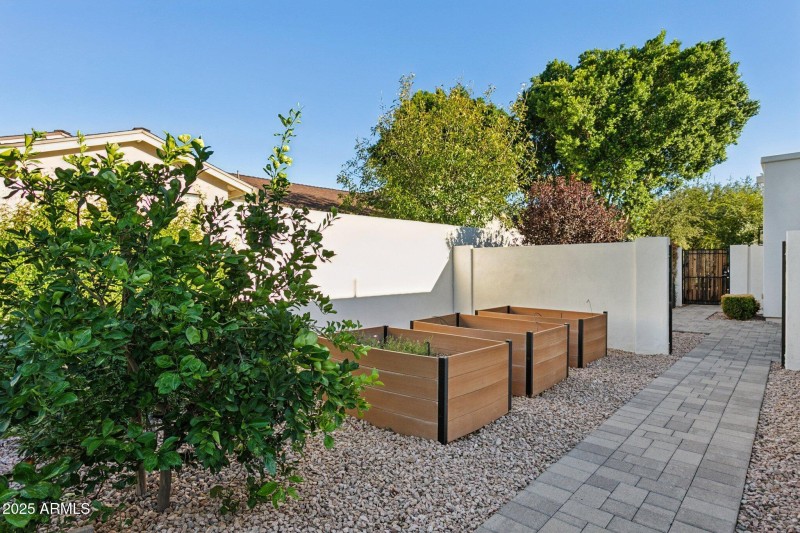 Planters / Side Yard