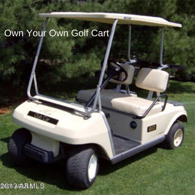 Own Your Own Golf Cart