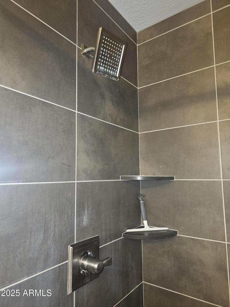 Main bathroom shower