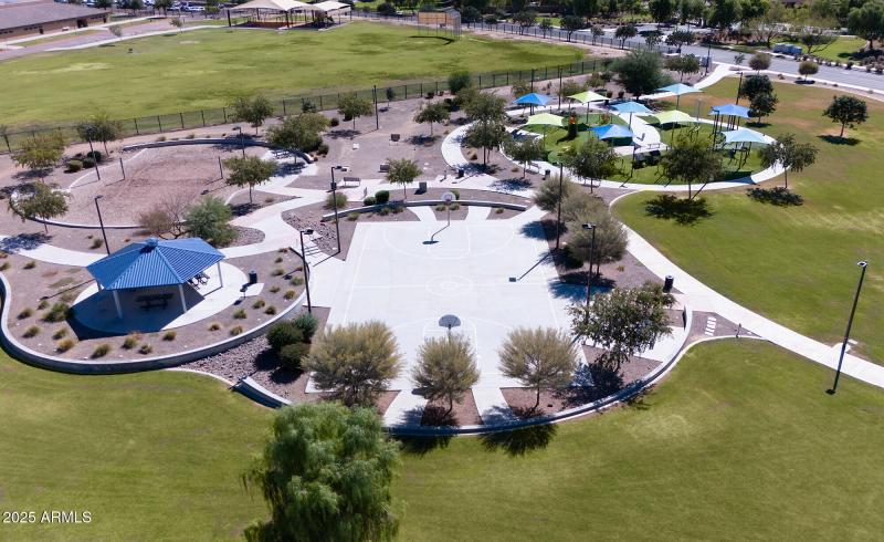 Catch & Release Fishing