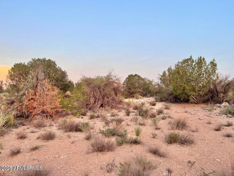 20250721212327582377000000-o