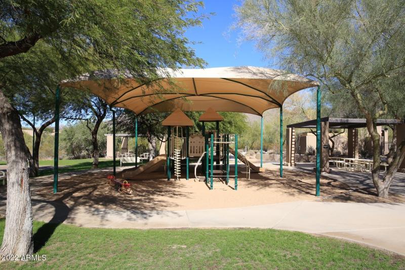McDowell Mountain-Community Park