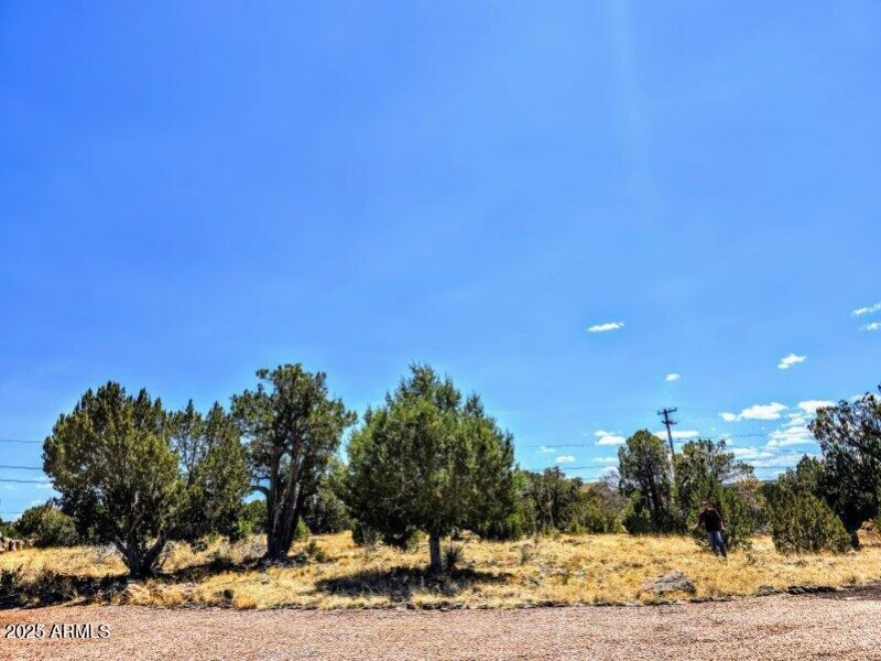 1939 Daggs Cir Pic 1