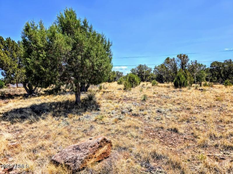 1939 Daggs Cir Pic 3