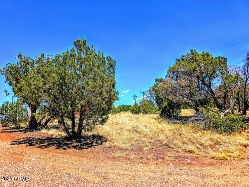 1939 Daggs Cir Pic 5