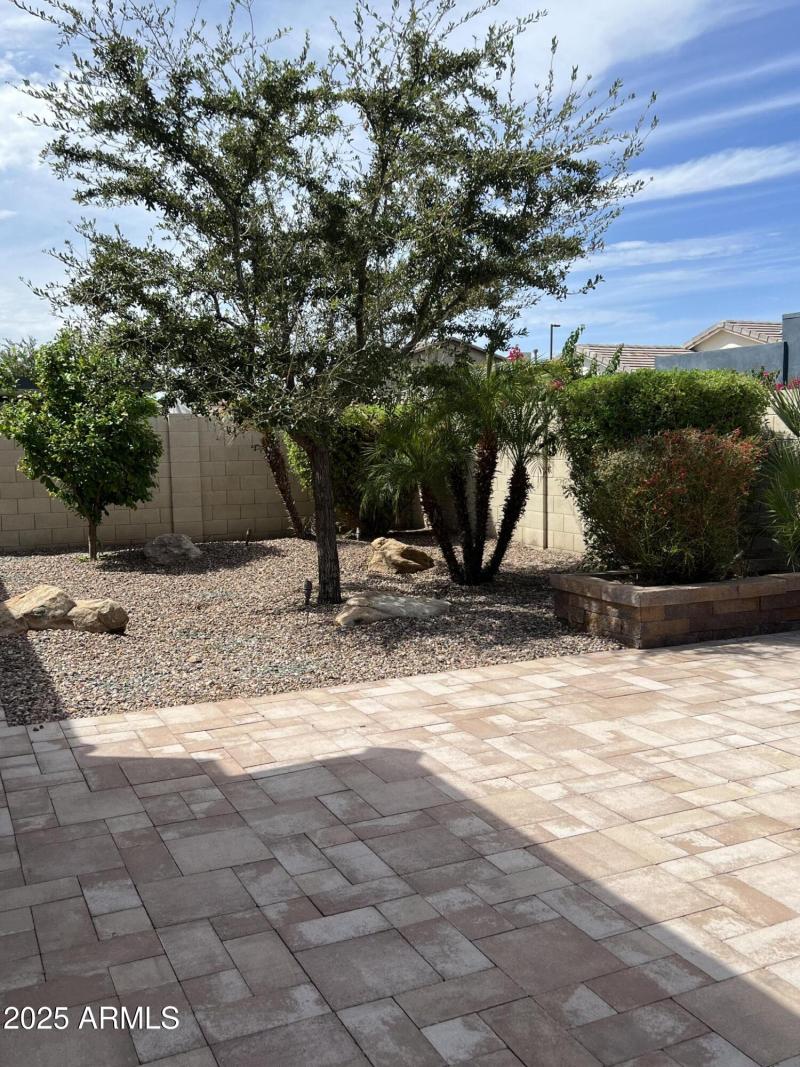 Low Maintenace Back Yard