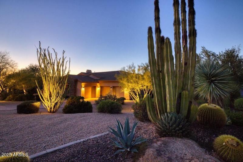 Natural Front Yard Vegitation