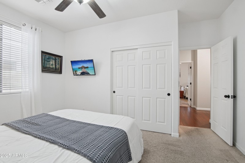 23-print-W Cardinal Dr-S1110-020