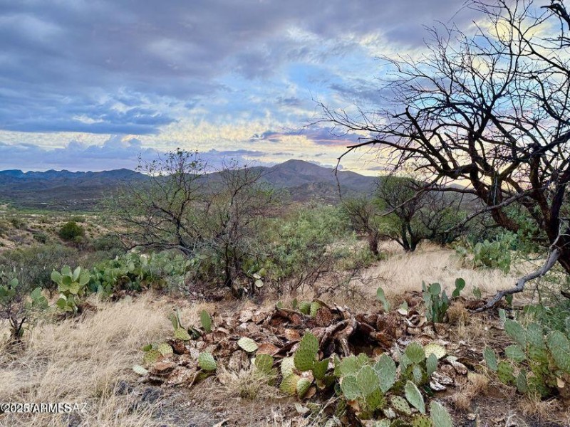 20250720080838300640000000-o