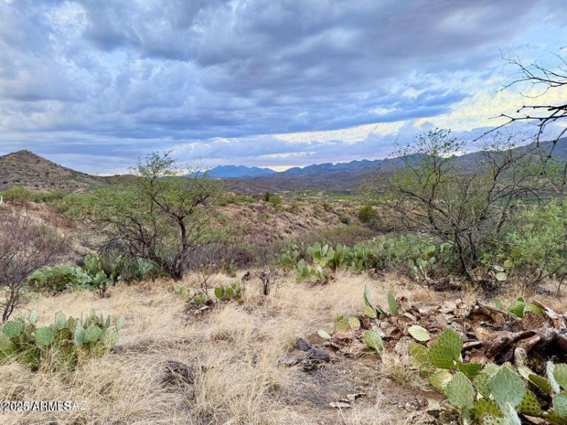 20250720080856428705000000-o (1)