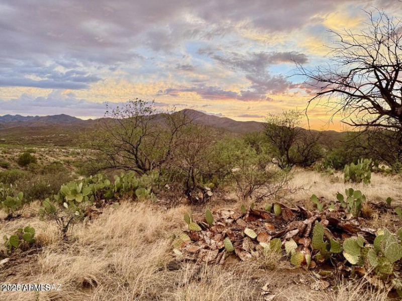 20250720080751264019000000-o (1)