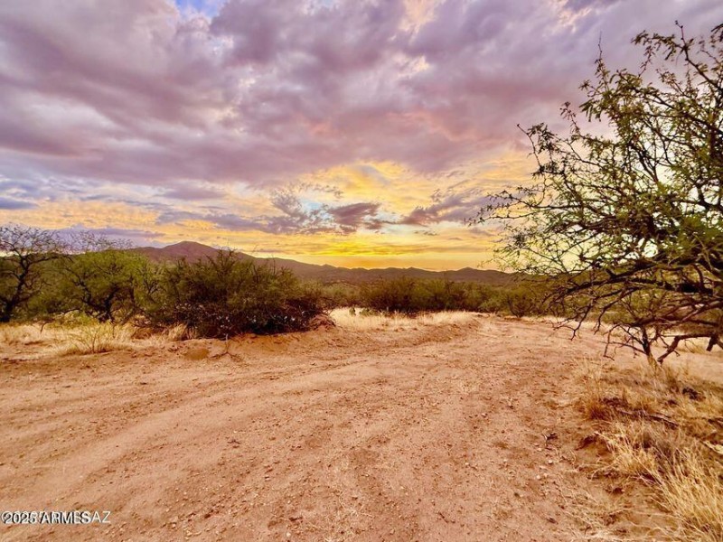 20250720080422748999000000-o (1)