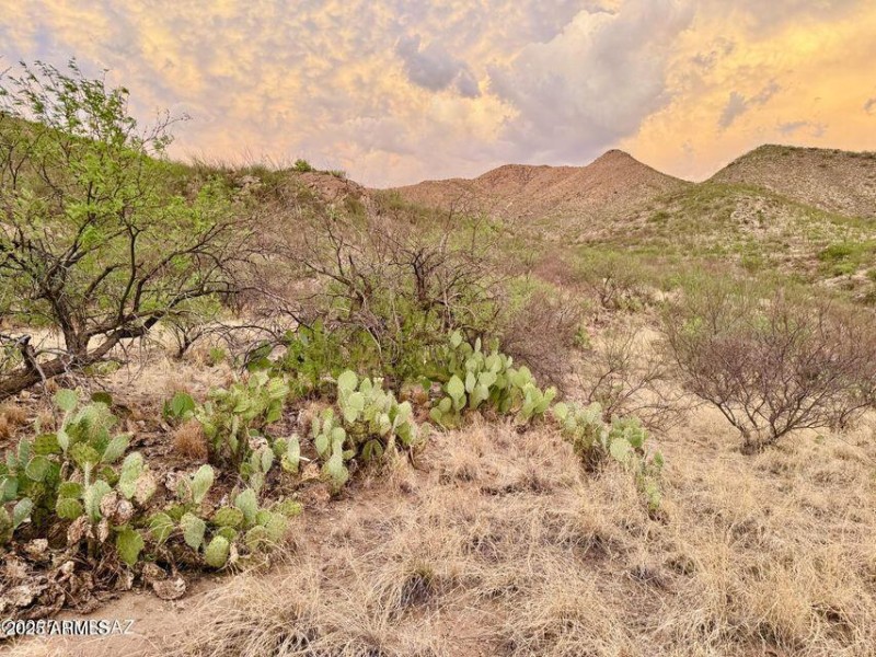 20250720080732065635000000-o (1)