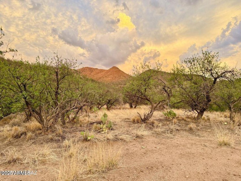 20250720081041205959000000-o (1)