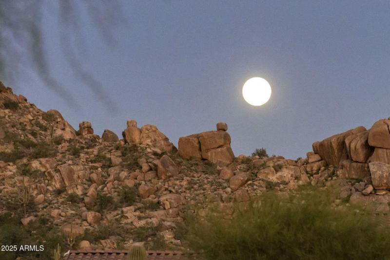 80-web-or-mls-D46A2286