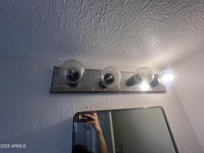 Photo Oct 11 2025, 15 42 50