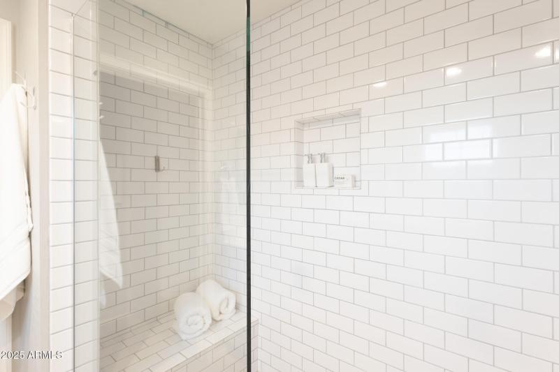 Master shower detail