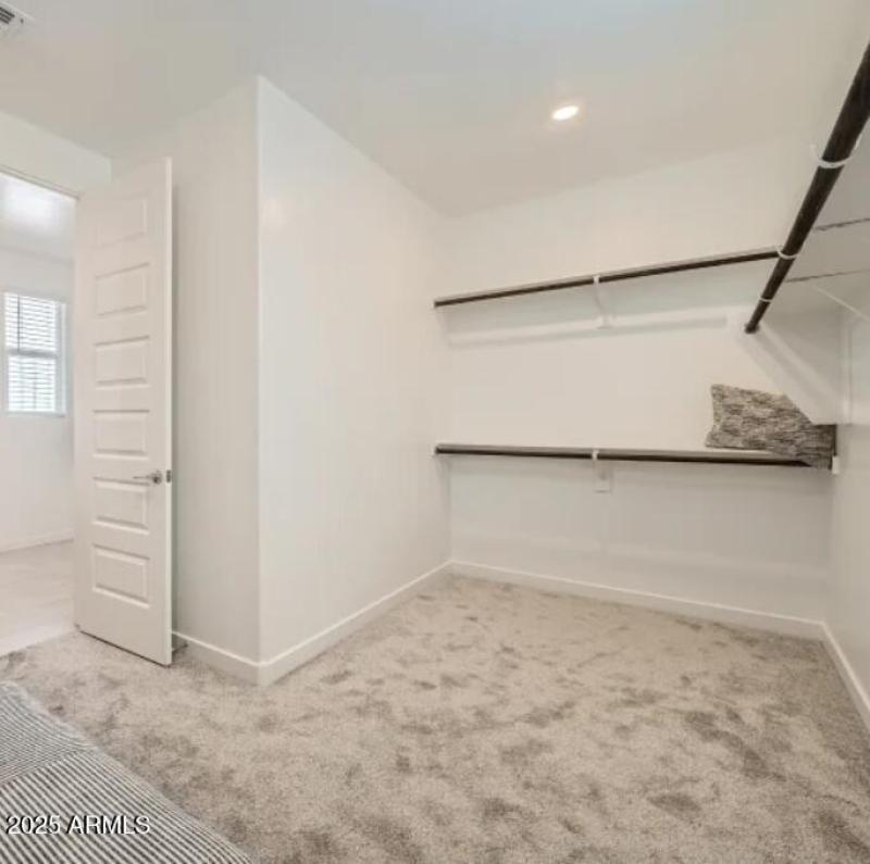 Owners Walk in Closet