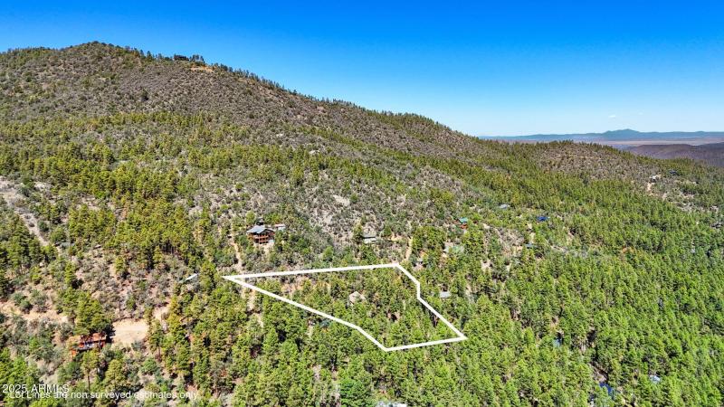 41-Aerial_1 Lot Lines