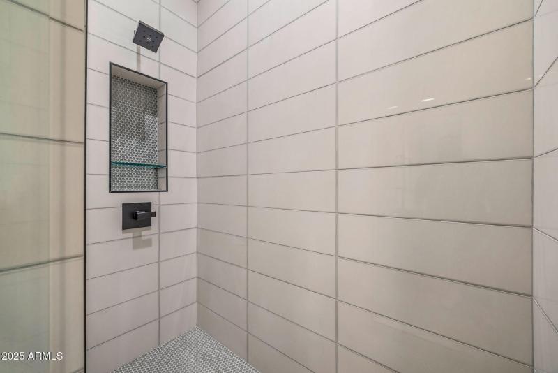 Lower Level Bathroom Shower