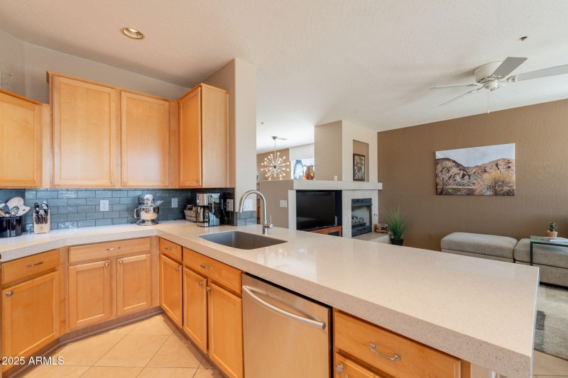 22-web-or-mls-Desert Willow-22