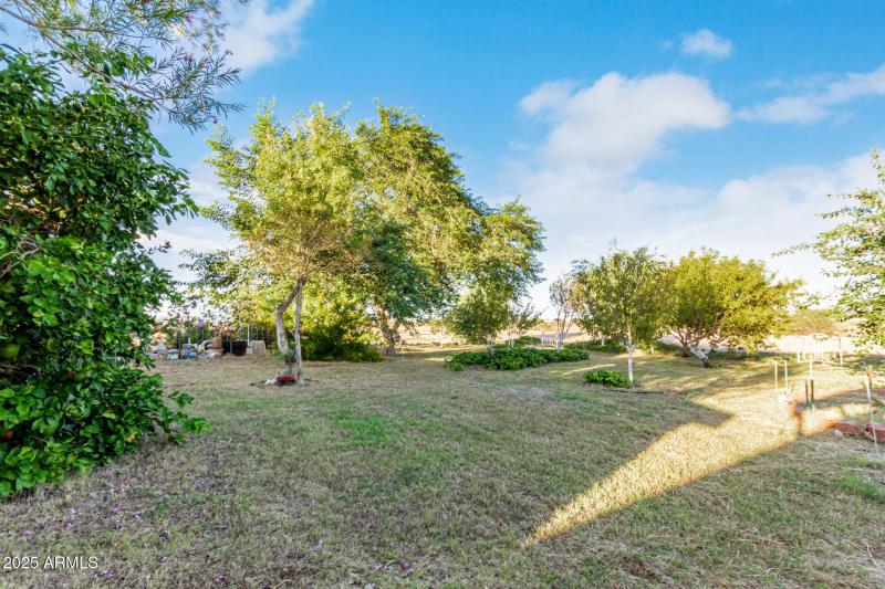 4 - John Jacob Astor 7378