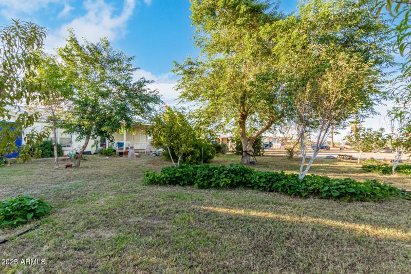 6 - John Jacob Astor 7378